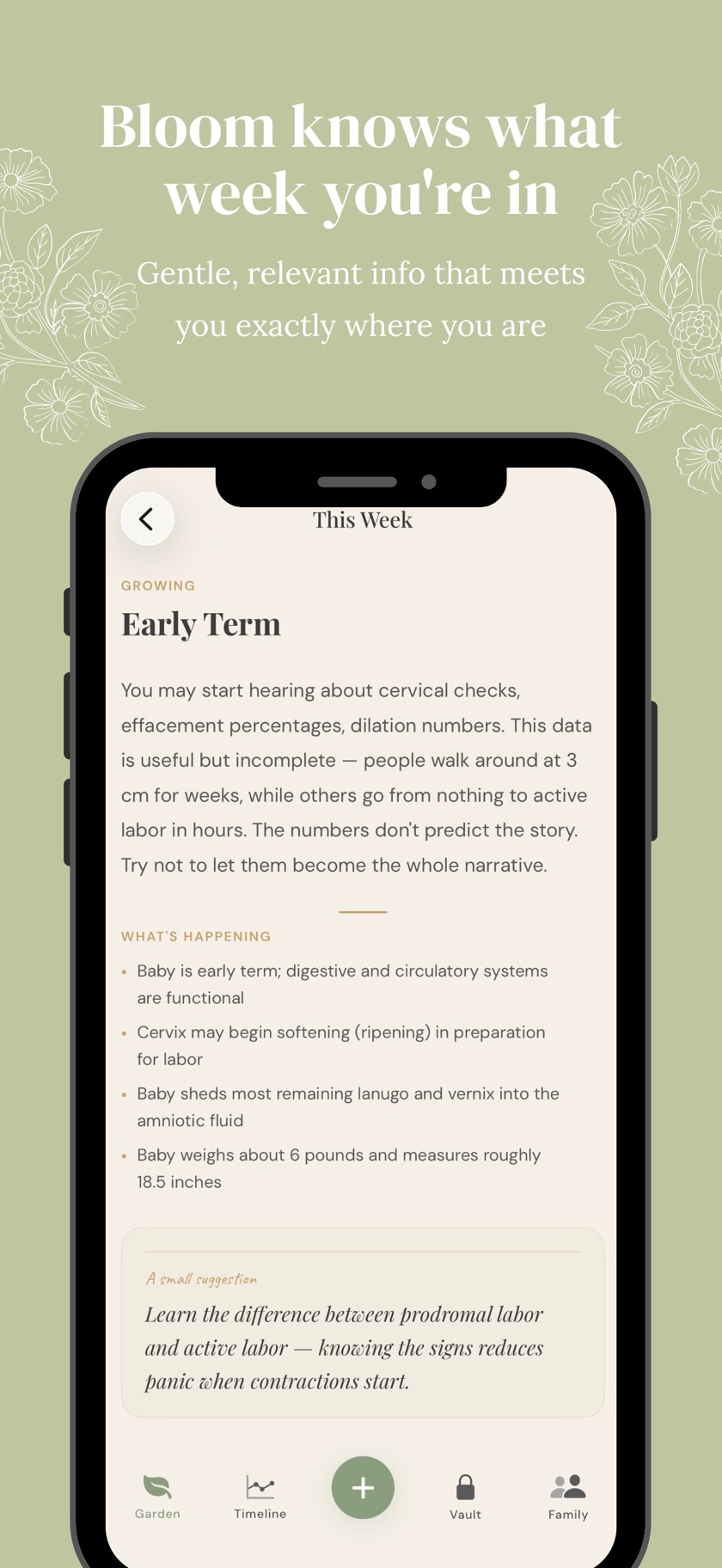 Weekly guidance screen — what's happening at early term, in plain gentle language